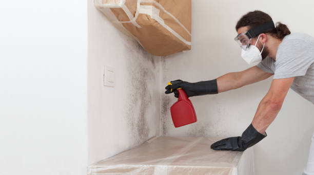 Professional Black Mold Remediation technician working in Sterling, VA