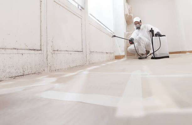 24/7 Emergency Black Mold Remediation experts in Sterling, VA