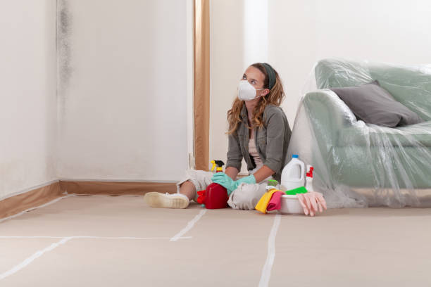 Reliable Black Mold Remediation contractor in Sterling, VA by 24 Hour Mold Removal
